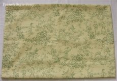 画像1: 「F在庫」はぎれ75×50：Casalモンソー公園（30：グリーン） (1)