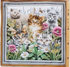 画像2: 「F在庫」45×45 草花の中の子猫たち (2)