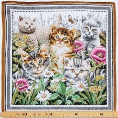 画像3: 「F在庫」45×45 草花の中の子猫たち (3)