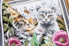 画像9: 「移動中」45×45 草花の中の子猫たち (9)