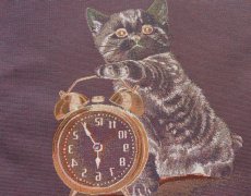 画像9: 「F在庫」はぎれ45×45：子猫と目覚まし時計（ベージュ・ブルー） (9)