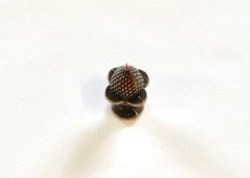 画像1: 「J即納」つまみ取っ手：フレーズII（アンティークゴールド） (1)