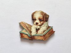 画像1: 「移動中」木製飾りボタン：犬と本(幅3.5cm) (1)