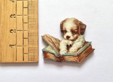 画像2: 「移動中」木製飾りボタン：犬と本(幅3.5cm) (2)