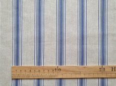 画像1: 「共同購入応募者専用」布：スージー（ベージュブルー、ストライプ） (1)