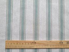 画像1: 「共同購入応募者専用」布：スージー（ベージュグリーン、ストライプ） (1)