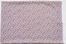 画像2: 「J即納」はぎれ75×49：SAJOUミニコクシグル（マルチカラー） (2)