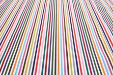 画像5: 「移動中/F在庫」はぎれ75×49：sajouシゾーストライプ（マルチカラー） (5)