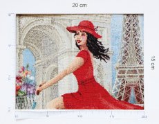 画像4: 「J即納/移動中」はぎれ45×45：サイクリング・パリ (4)