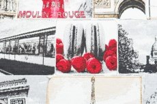 画像14: 「F在庫」はぎれ70×50：ジュテーム・パリ（ジャカード、グレイ・赤） (14)