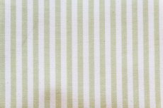 画像1: 「J即納」はぎれ70×50：ラティ（ストライプ、オアシスグリーン） (1)