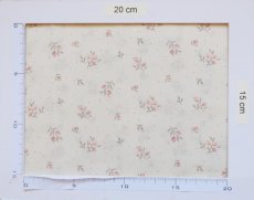 画像5: 「移動中」はぎれ75×50：sous le figuier グースベリー（オールドローズ） (5)