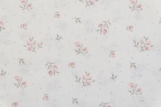画像10: 「移動中」はぎれ75×50：sous le figuier グースベリー（オールドローズ） (10)