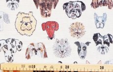 画像3: 「F在庫」はぎれ70×50：ゴブラン織り シアン（犬デザイン、ライトアイボリーベース） (3)