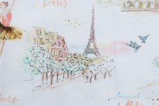 画像12: 「J即納/F在庫」はぎれ75×50：ガルニエ(ホワイトベース) (12)