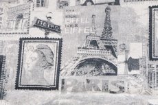 画像12: 「J即納」はぎれ70×50：パリ・モノクローム（グレイ） (12)