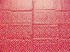 画像9: 「F在庫」はぎれ75×50：撥水加工マニー（赤ベース水玉、バラ） (9)