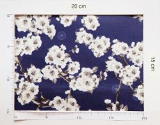 画像4: 「J即納」廃盤はぎれ70×50：プランタン・オ・ジャパン（ベルベット、ブルーベース） (4)