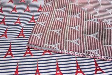 画像9: 「移動中」はぎれ75×48：ジル（ジャカード、エッフェル塔、赤・マリンブルー） (9)