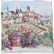 画像1: 「移動中」はぎれ45×45：ヴィラージュ&レザン（フランスの村、ぶどう） (1)