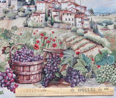 画像3: 「移動中」はぎれ45×45：ヴィラージュ&レザン（フランスの村、ぶどう） (3)