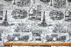 画像3: 「F在庫」はぎれ70×50：オスマン・パリ（白ベース黒） (3)