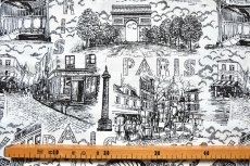 画像5: 「F在庫」はぎれ70×50：オスマン・パリ（白ベース黒） (5)