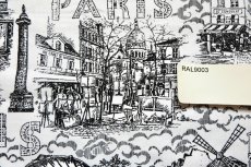 画像6: 「F在庫」はぎれ70×50：オスマン・パリ（白ベース黒） (6)