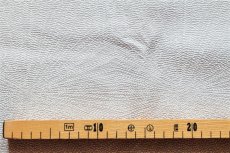 画像3: 「J即納」はぎれ70×50：ダンドリオン（ジャカード、パールグレイ） (3)