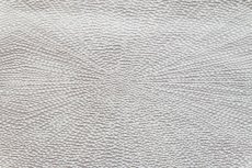 画像8: 「J即納」はぎれ70×50：ダンドリオン（ジャカード、パールグレイ） (8)