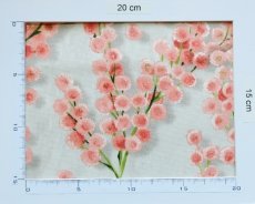 画像5: 「J即納」廃盤はぎれ70×50：ミミ・モサ（パールベースピンク） (5)