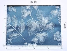 画像4: 「J即納」廃盤はぎれ70×50：フェニックス（ジャカード、ブルーカナル） (4)