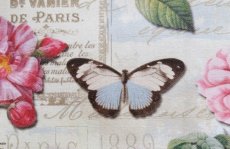 画像11: 「J即納」はぎれ70×50：オー・ド・コロン（ホワイトベース、蝶、花） (11)