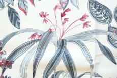 画像9: 「F在庫」廃盤はぎれ70×50：アデレード（クリームベース） (9)
