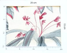 画像4: 「F在庫」廃盤はぎれ70×50：アデレード（クリームベース） (4)