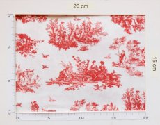画像5: 「J即納」廃盤はぎれ72×50：オベール（色番112 ホワイトベースコライユ） (5)
